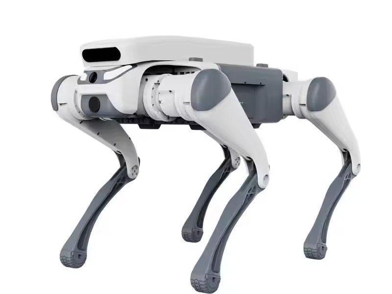 Akıllı besleyici, dokunmatik s - Remote Control Toys incelemesi ve fiyatı